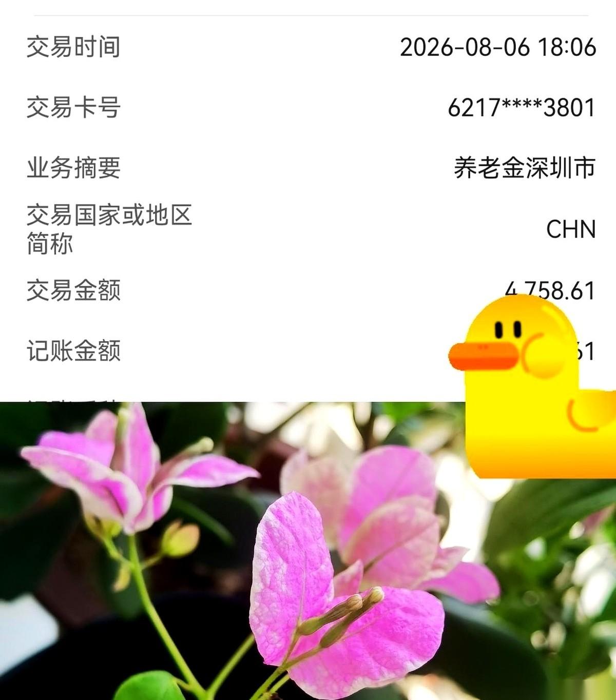 总被人当80后，嘿，其实我都领三年退休金了。明天就53了。刚才去刷养老金到账
