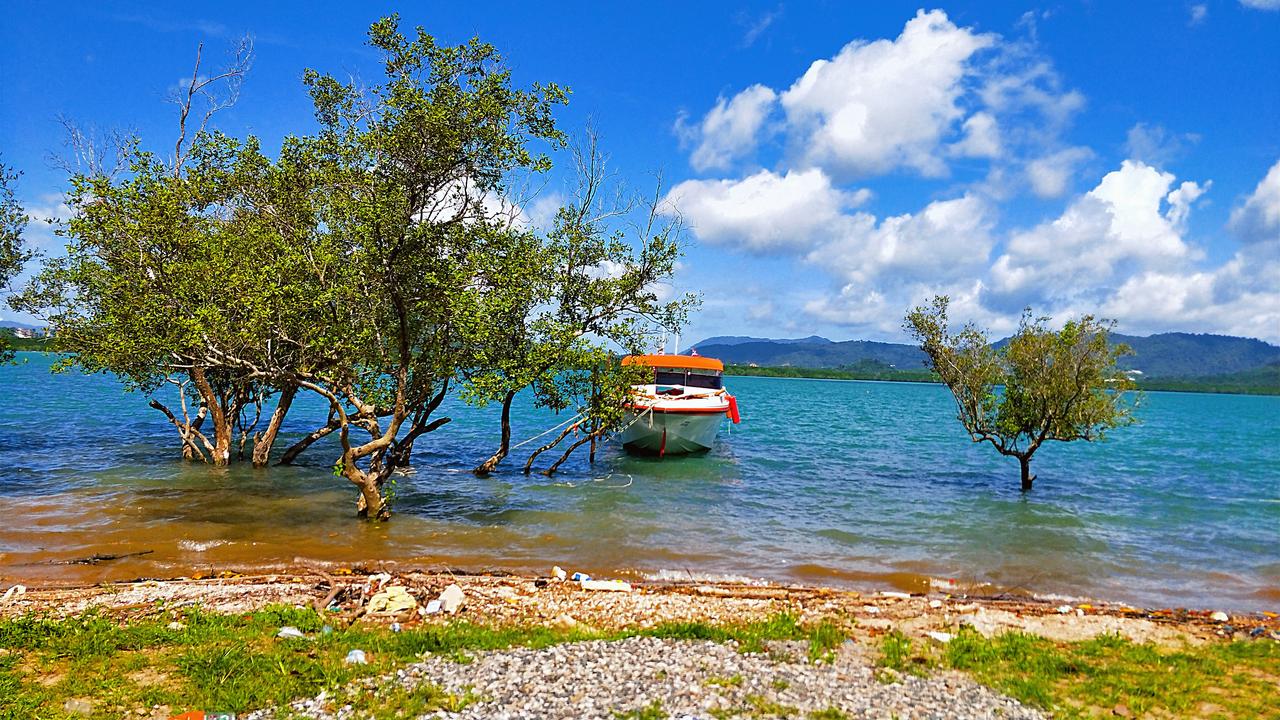 特特又玩新操作，准备用60亿购买格林兰岛！与其说买格林兰岛，不如说买通格林兰百姓