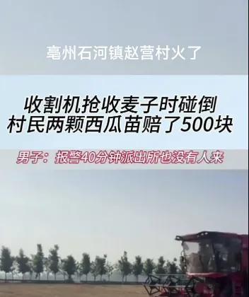 联合收割机司机作业时，碰到两棵西瓜苗。据说，村民原价要1200元，但