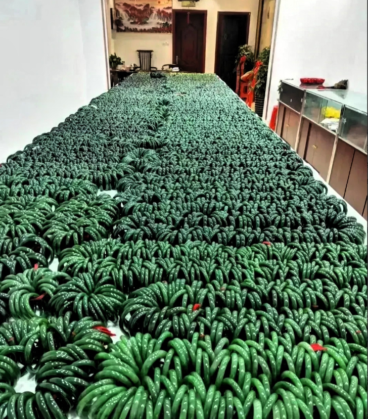 你以为过剩的只有房子？