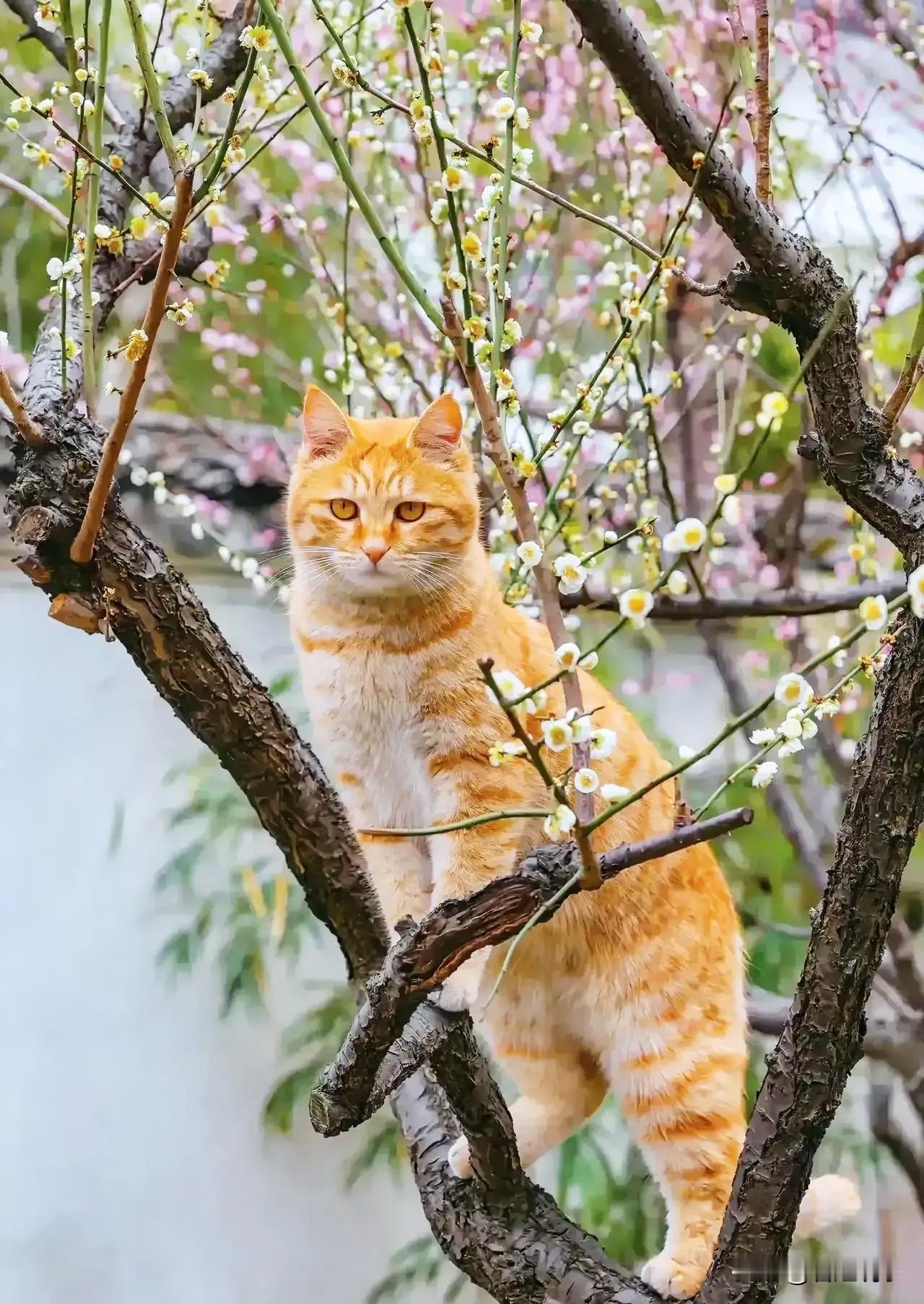 患白血病的人真的有治愈的吗?我是2019年患的白血病，2021年医院治疗结束。