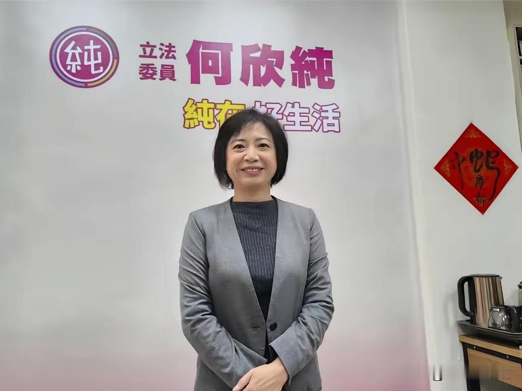 绿营重兵投入台中，推出强棒国民党资深党员林淑满的女儿何欣纯。“弃蓝从绿”的何欣纯