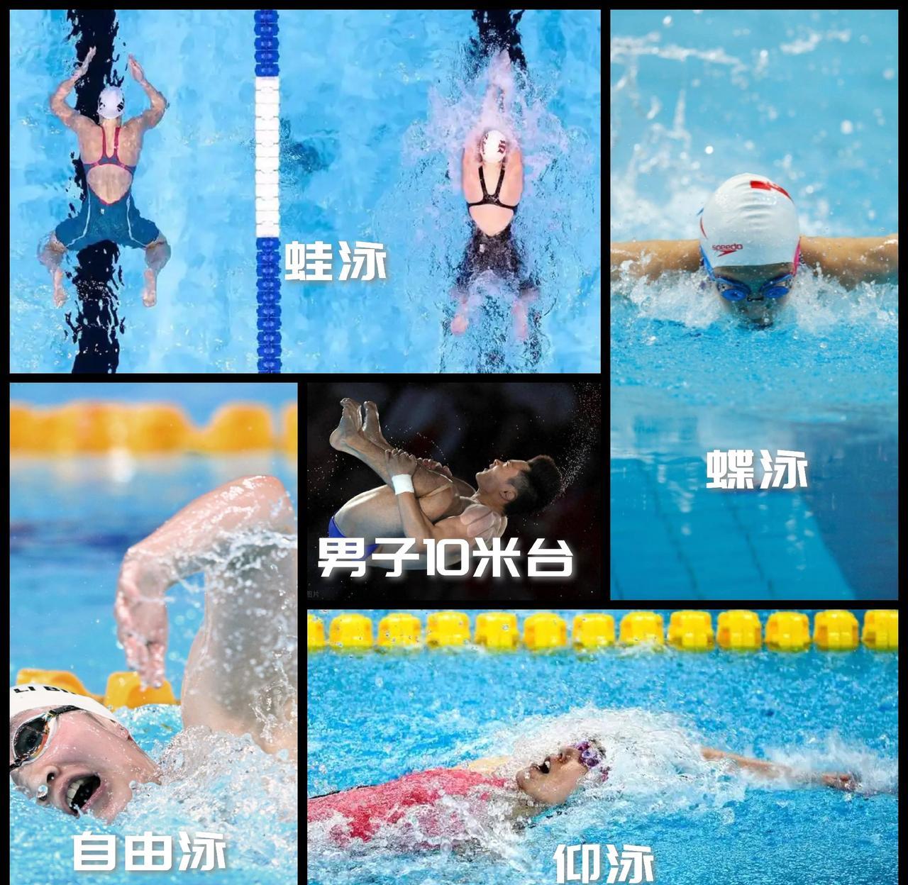 【新加坡游泳世锦赛明日收官！包括八项游泳决赛加男子10米台跳水决赛！】17:3
