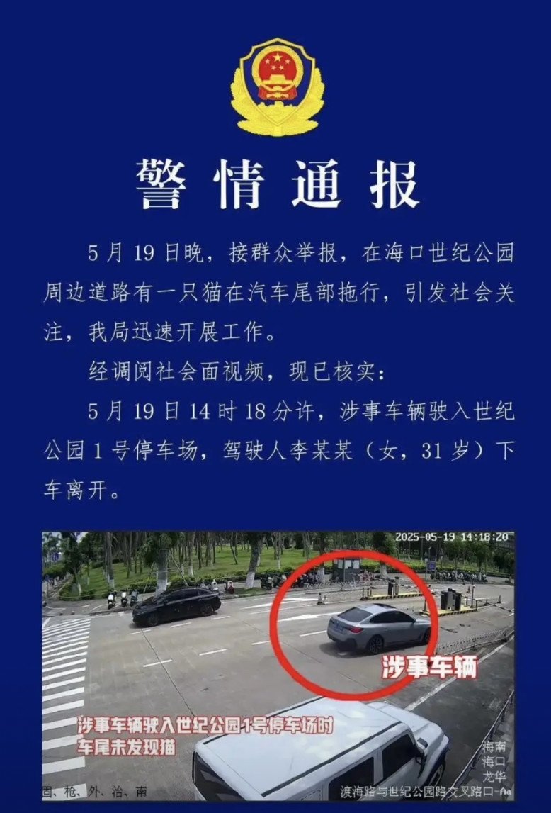 一觉醒来，喊着要为小猫做主，严惩宝马车主的动保人士的天彻底塌了，海口公安用一条破