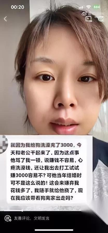 为了给狗洗澡她充了三千块转头就被老公骂到委屈得拍视频问网友，要不要带着狗