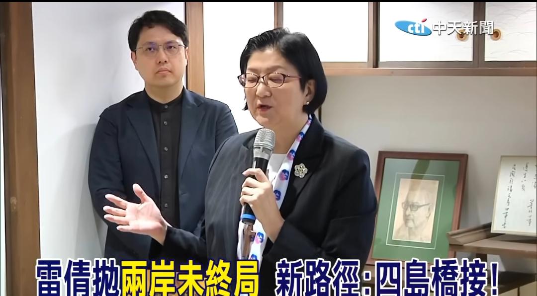 雷倩的“四岛桥接”方案，算盘珠子都蹦我们脸上了雷倩抛出的港澳琼台四岛桥接