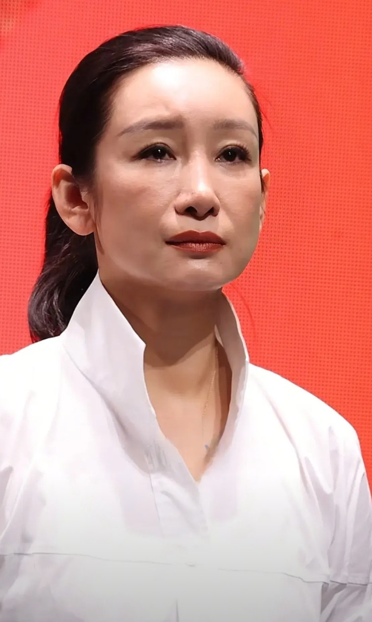 为什么总听到有人说秦海璐长得不好看，甚至还有人说她长得丑，不会呀，她长得挺好看的