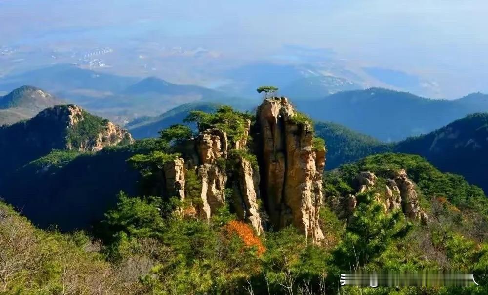 很有感触的一段话：如果你没什么背景，没资源，没靠山，那就往公平的地方走。不