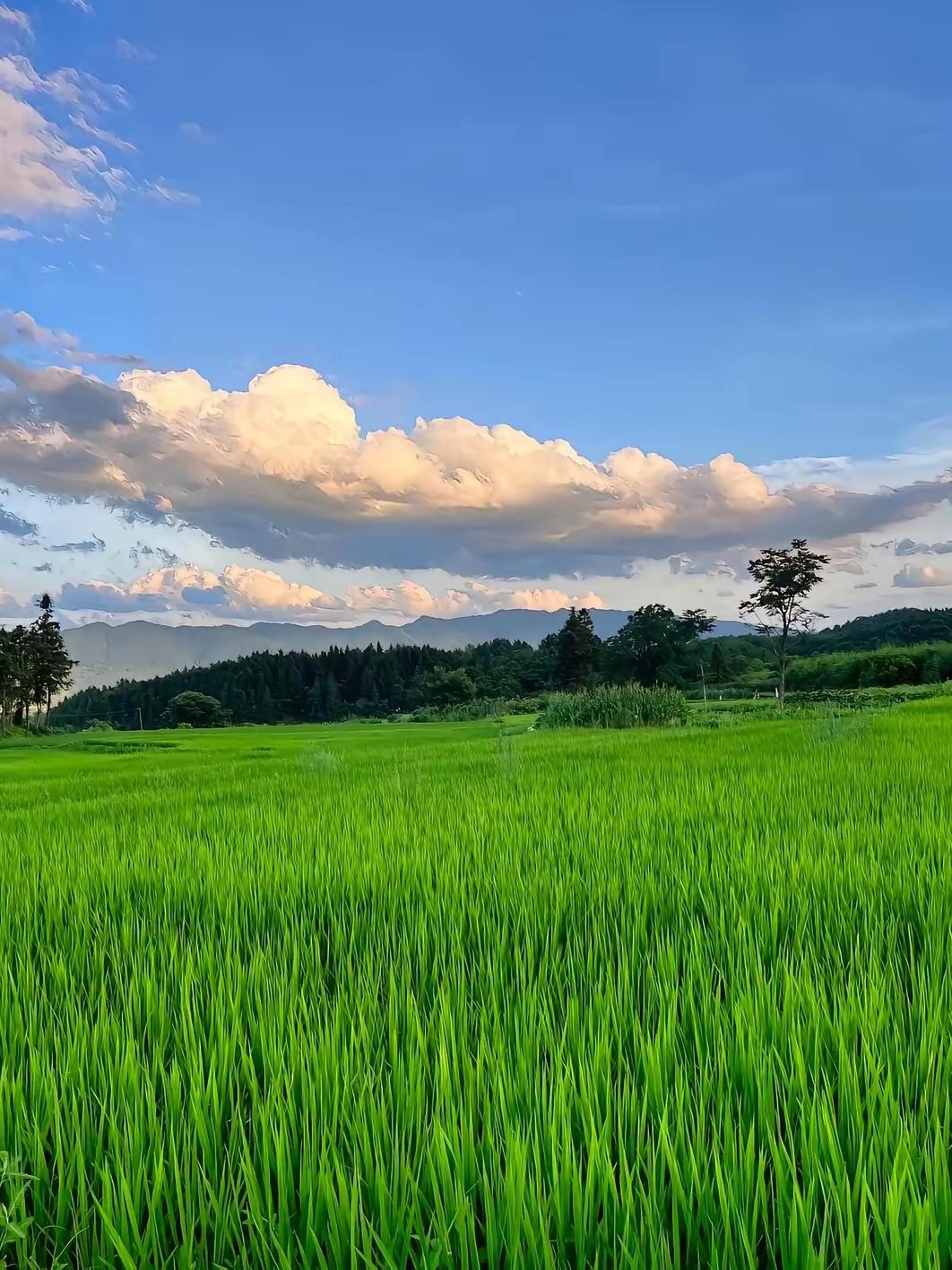 看了张雪峰出事的新闻，我和家人做出了六个决定：1.千万不要熬夜，熬夜对身体特别