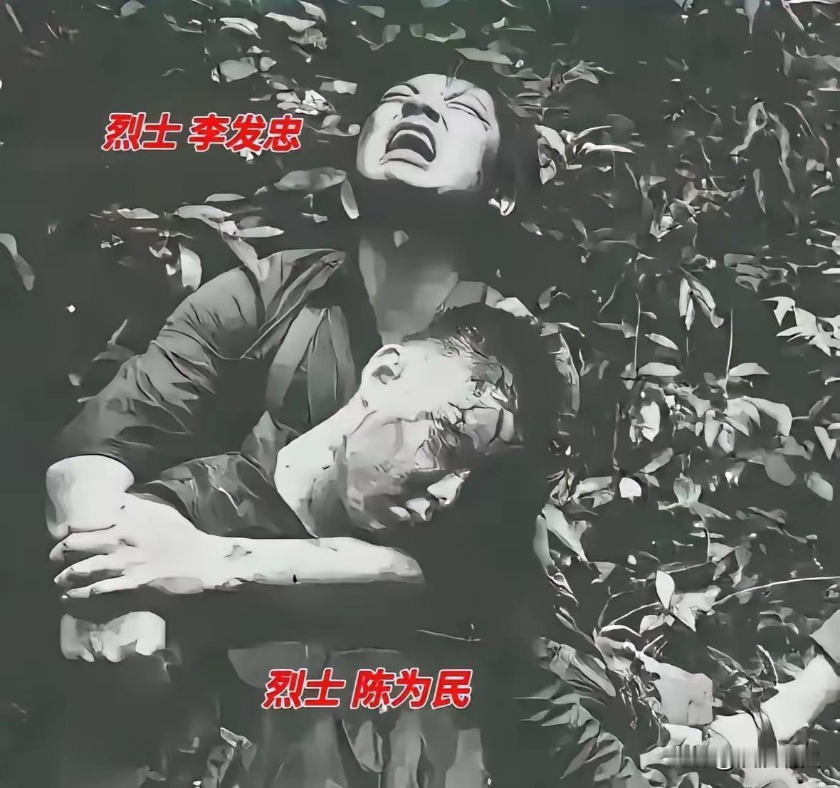 沂蒙兄弟魂归老山：同村同伍同牺牲，这张照片看哭无数人这是一张令人伤心泪奔的