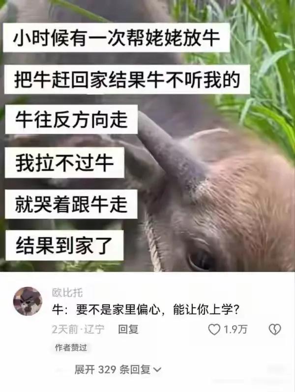牛：知道我带他多辛苦了吧[笑着哭]