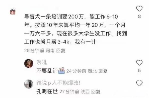 导盲犬：人类现在都那么卷吗，开始抢我的工作了