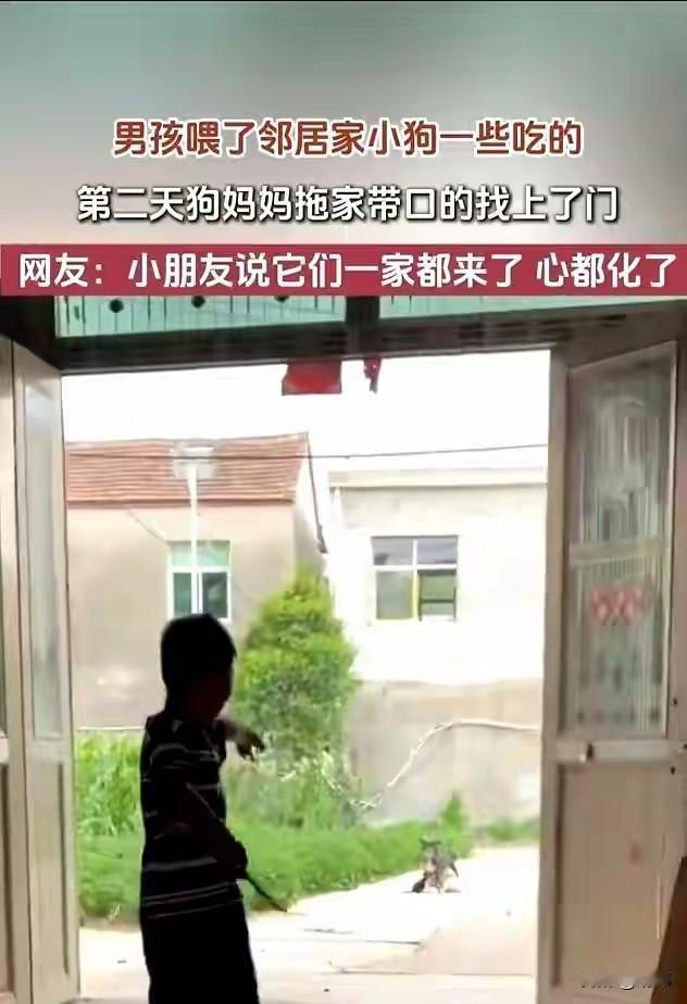 这天，一位小男孩看到邻居家的狗狗跑到自己家的院子里来，于是他就拿了一些食物投喂它