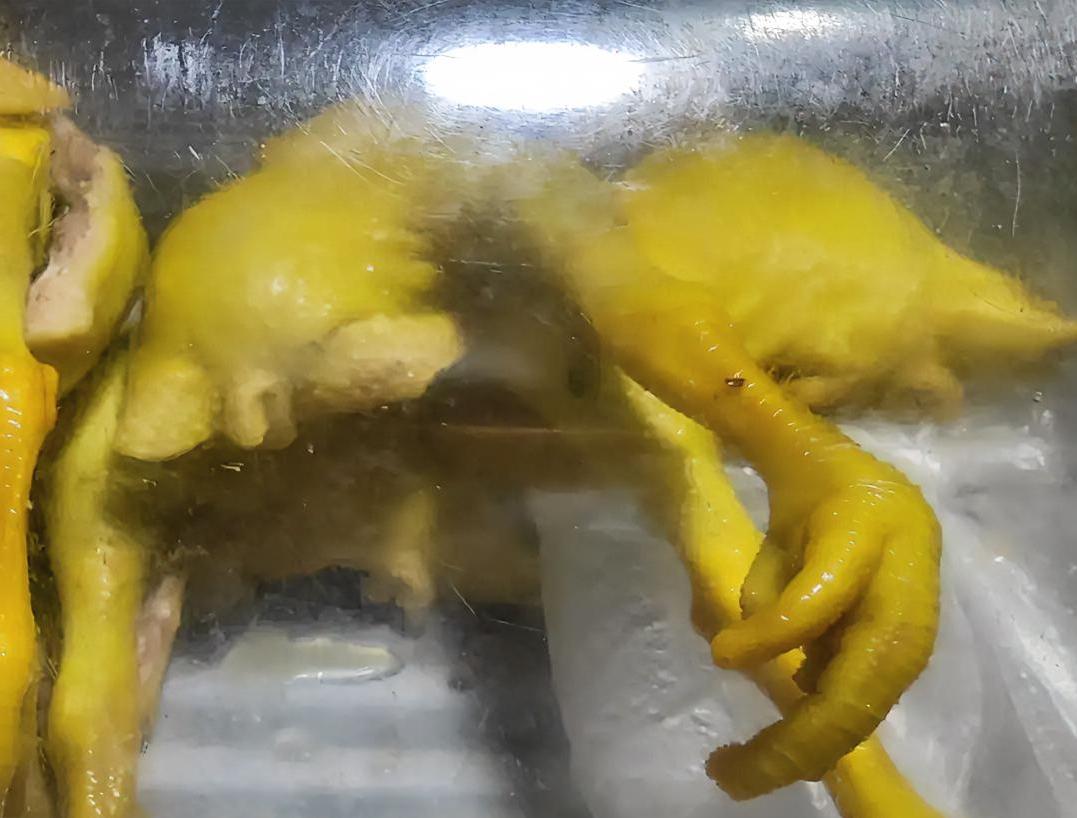 摆摊摆烂日记太搞笑了[滑稽笑][滑稽笑]！今日一个客户都没有。6点多了我挂了一个蛋。