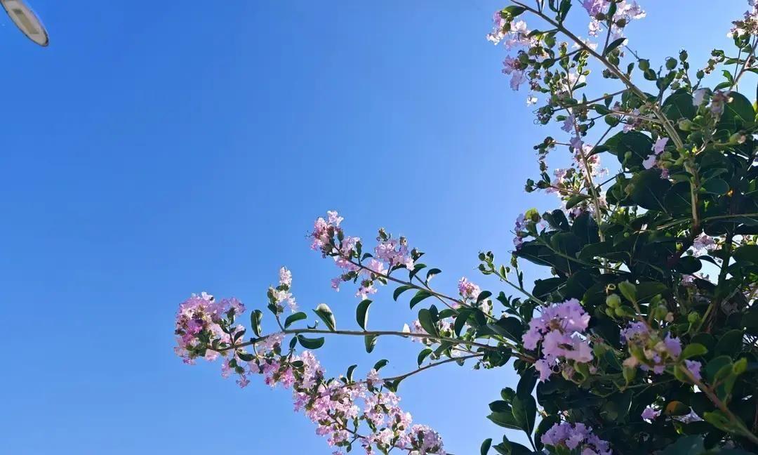 这样的公婆你见过吗？一个熟人的熟人离婚了，原因挺离谱。她结婚才两年左右，发