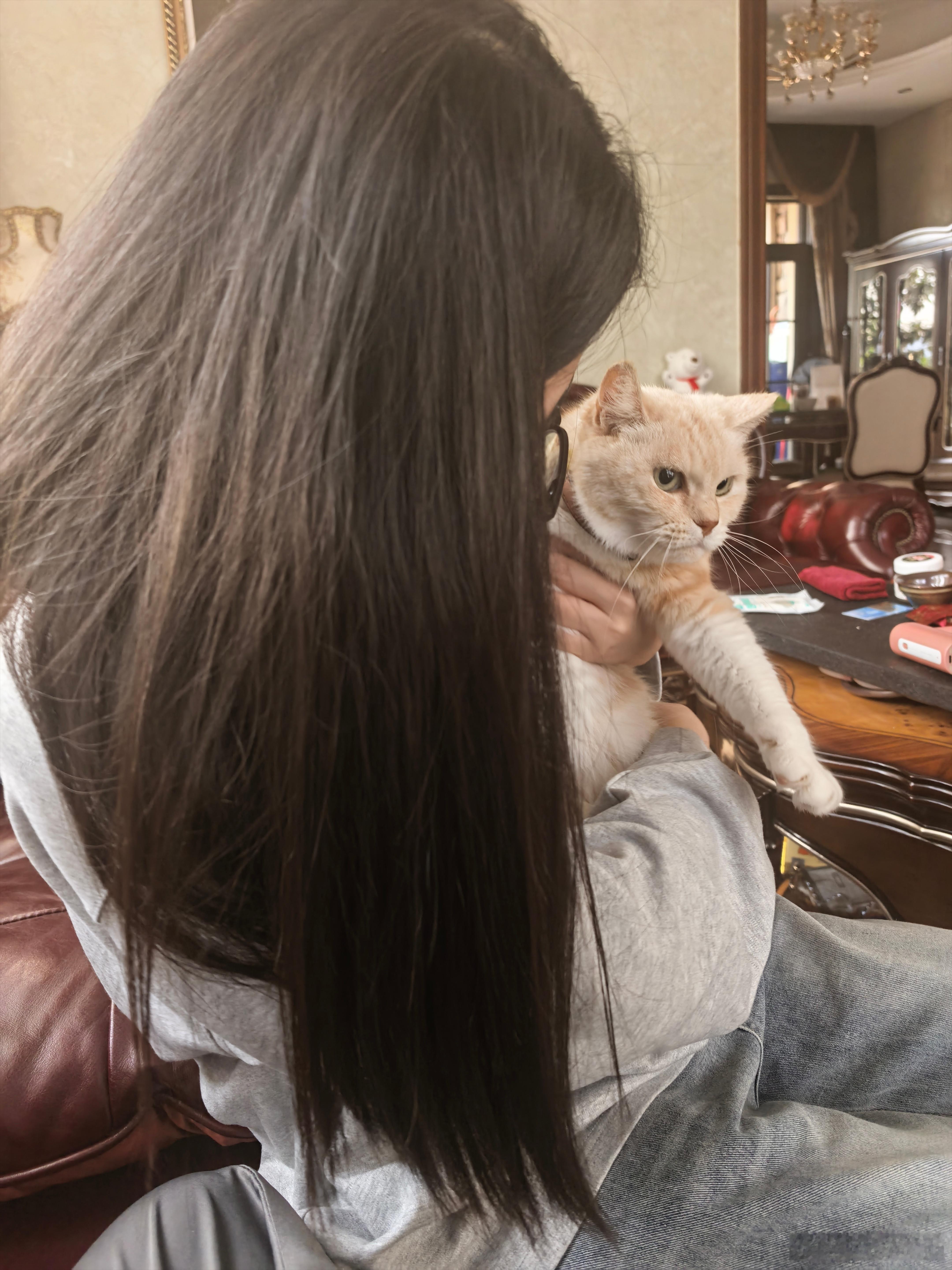 英姐做的帝王蟹还是yyds！