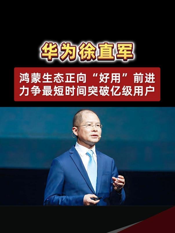 徐直军说鸿蒙“真正成功的标志是走出国门”——国内13.5亿台设备只是及格线8