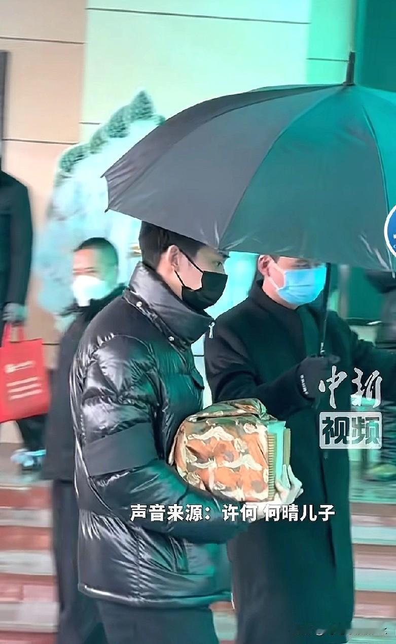 何晴的儿子说母亲喜欢下雪天，冥冥之中母亲走的那天正好下雪了美人和雪景就是格外