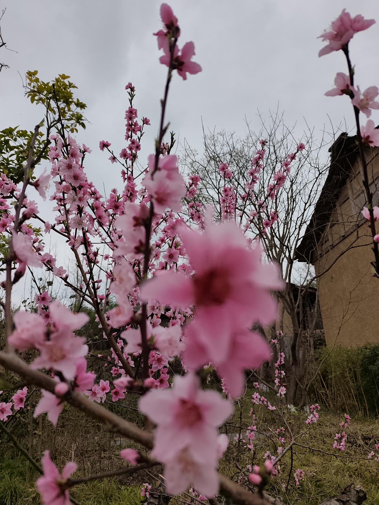 昨晚加班到十点才从公司出来，走在路上看见路边摊坐着对老两口，正捧着碗馄饨吃。昏黄