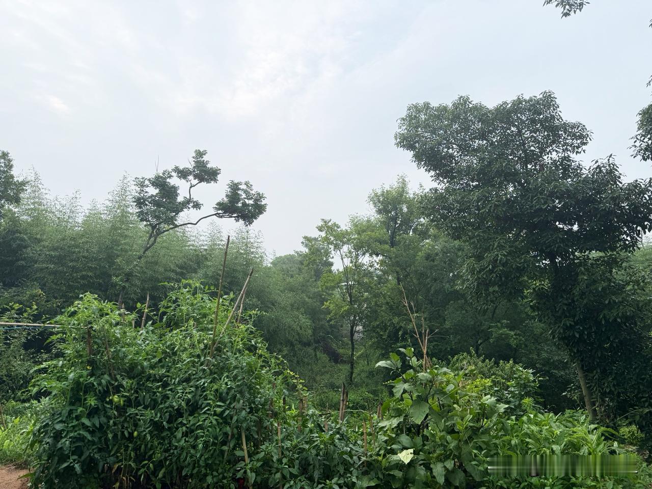 打新加厚安全垫，不等于浪费昨天发行的永励精密，我按2+1方案进行了合户申购，