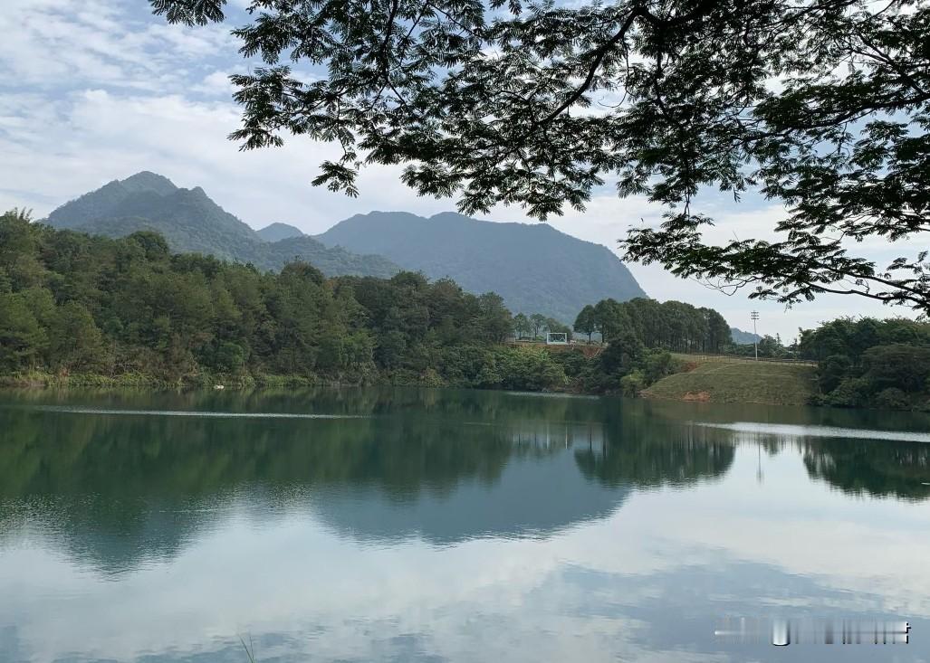 这阿姨把儿子养成这样，真是该啊。一阿姨56岁，来咨询儿子和儿媳的事情，希望儿媳现