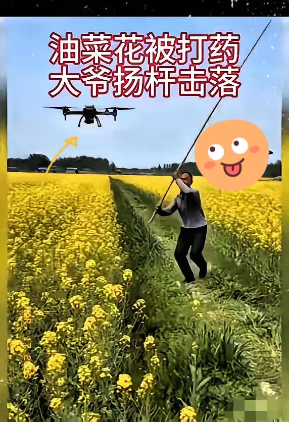 油菜花田里的一场争执，吵的不是打不打药，是老经验和新科技的温柔碰撞。大爷种了一