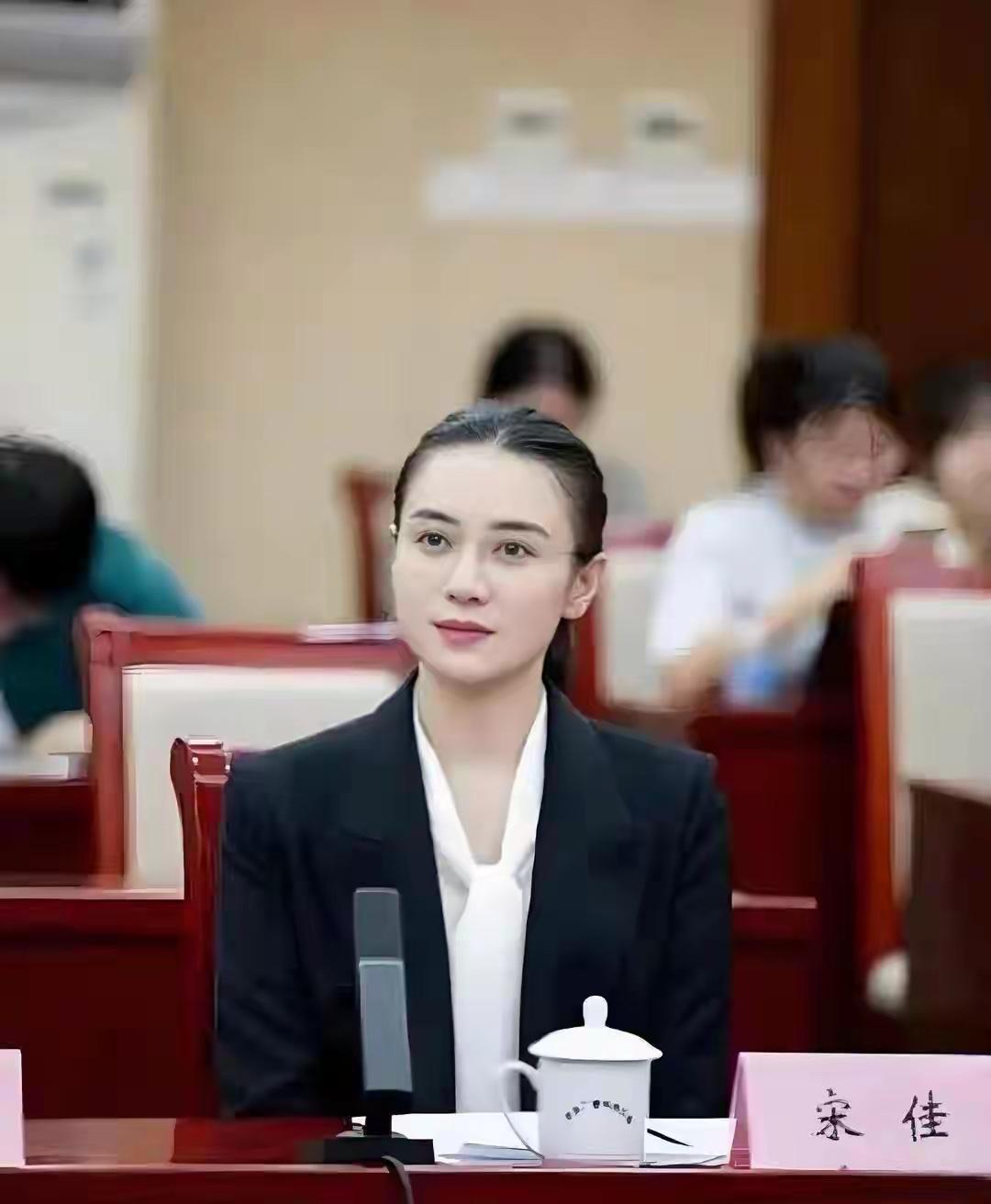 体制内第一美女，你认可吗