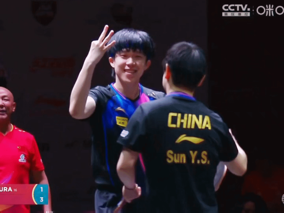 我家多哈宝贝一岁了