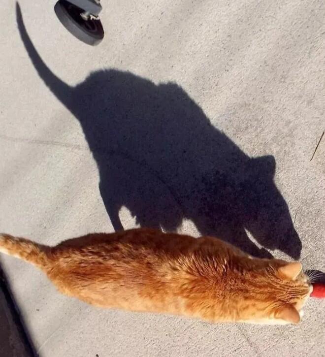 任何事物都有两面性