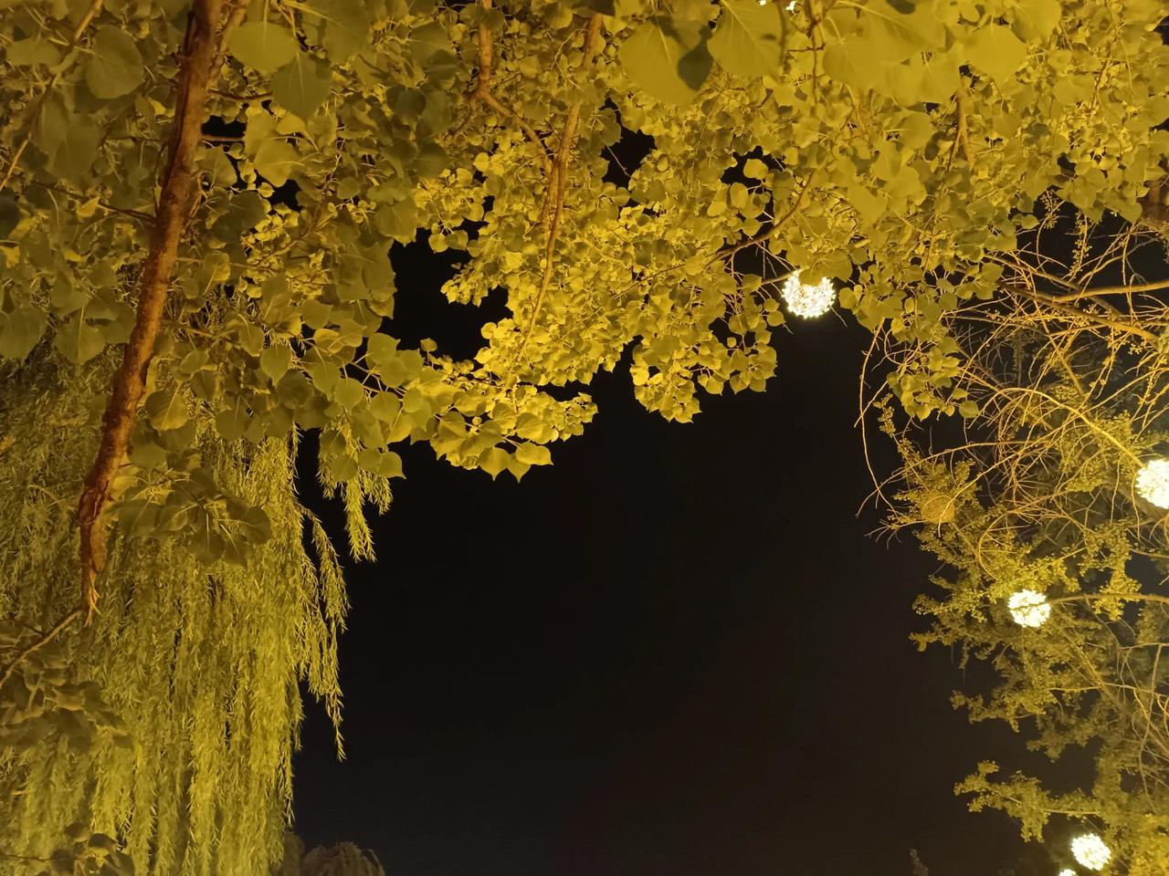 大盘狂飙，散户掉队，后续行情，何去何从？现在散户分三个阵营：一种是短线追热点