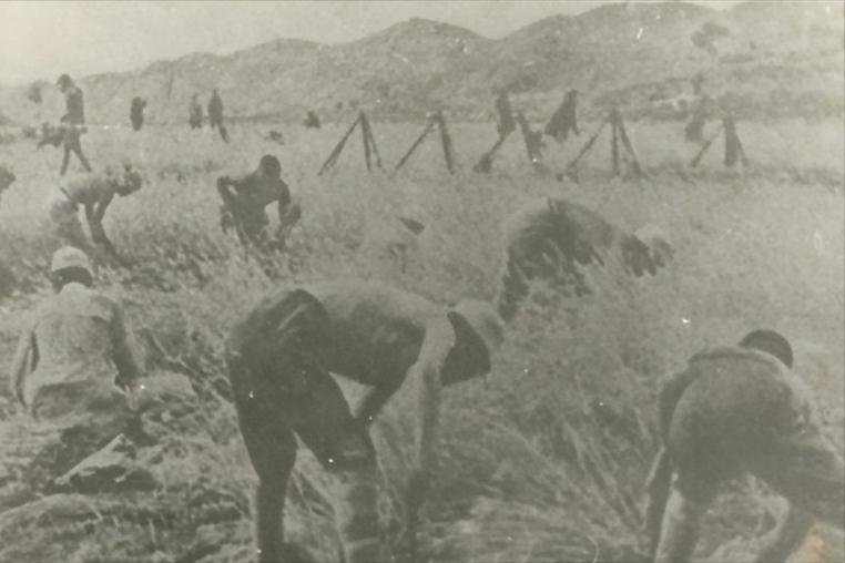 1941年，皖南突围绝境，项英连发求援电报，中央严令粟裕：苏北一兵一卒不准过江，