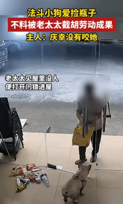 看呆了！广州这条小狗靠捡瓶子自力更生，堪称狗界劳模，谁知一个大妈盯上了它攒的瓶子