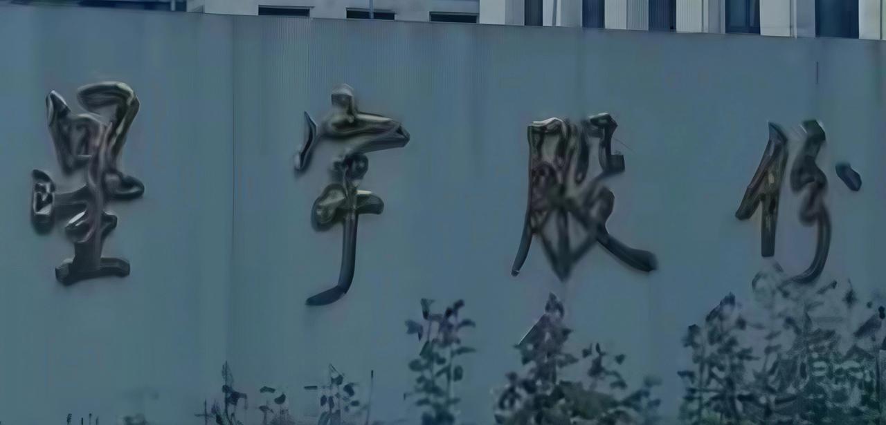 最近常州星宇股份批量裁撤应届毕业生一事闹得沸沸扬扬，甚至外网都开始跟进报道了。