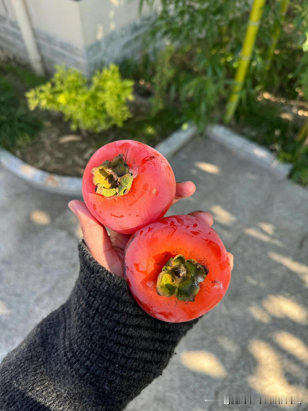 以前我跟老公吵架,张口就是“能过就过,不能过离!”每次说完他都气得脸通红,要么摔