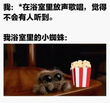 浴室里的小蜘蛛