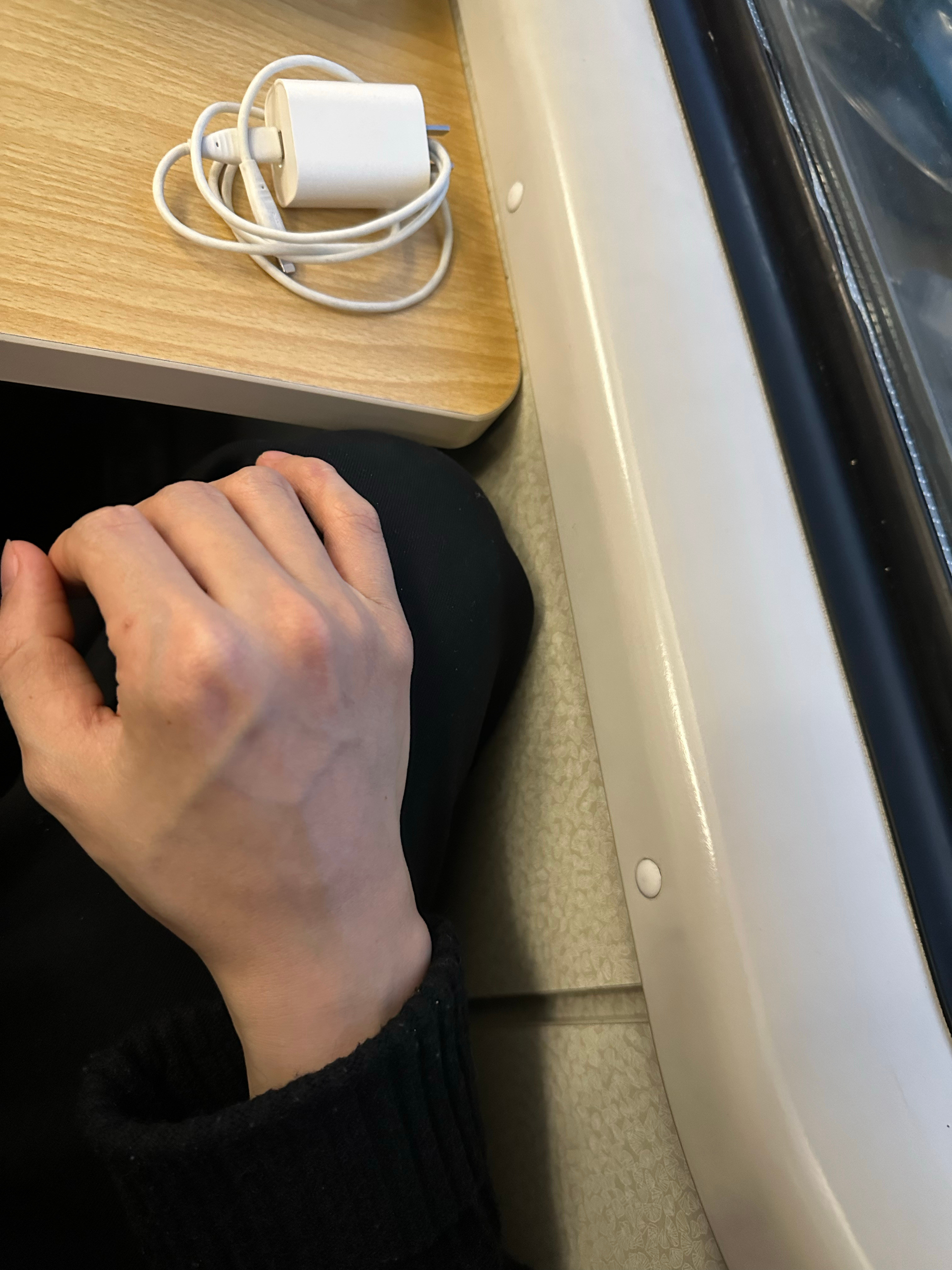 疯言鸟语在火车上，一旁的女士把我挤得贴到窗边动弹不得她并非故意的，只是体型比较