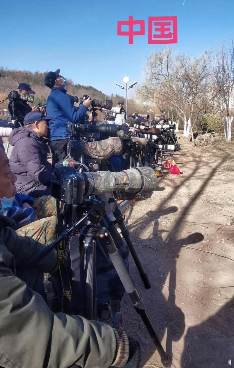 谁才是真正的文明？不言自明！