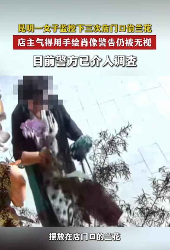 2026‑09‑06九派新闻报道，云南昆明翠湖南路中和巷，商户梁女士遇上一件让