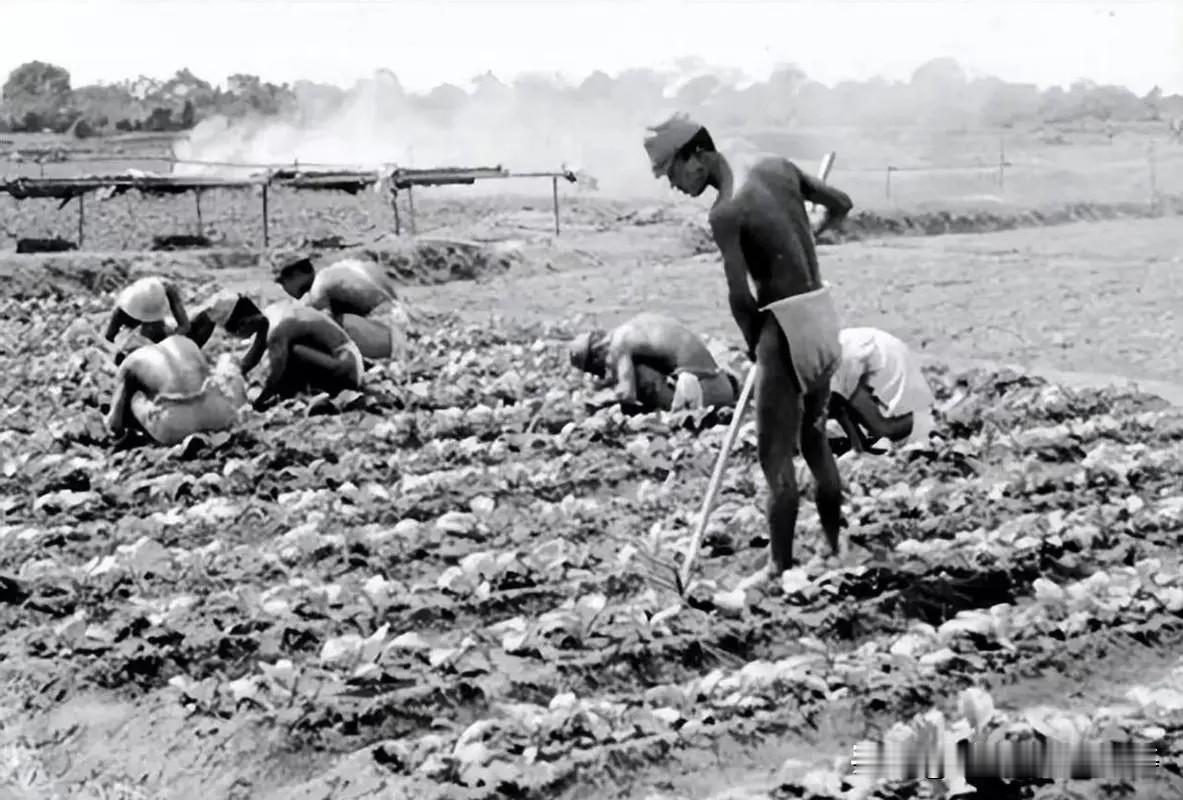 二战时被苏联俘虏的日军有多惨?二战后被苏联俘虏的日军经历了极其悲惨的境遇。194