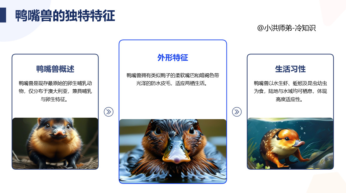 最原始的卵生哺乳动物世界上现存最原始的卵生哺乳动物是鸭嘴兽。鸭嘴兽仅生活于澳大利