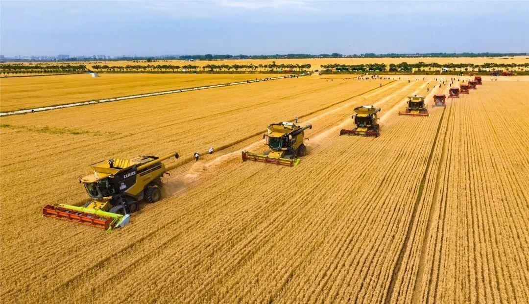 美国耕地面积比中国大，可为什么粮食产量不及中国？很多人都纳闷，美国耕地比我们