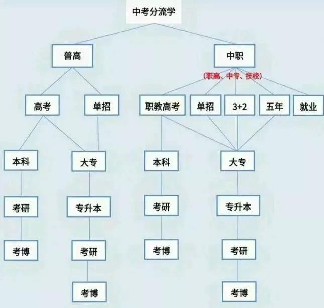 中考分流终于要取消了？国家这个重磅文件释放重要信号！！实现十二年义务教育解决了