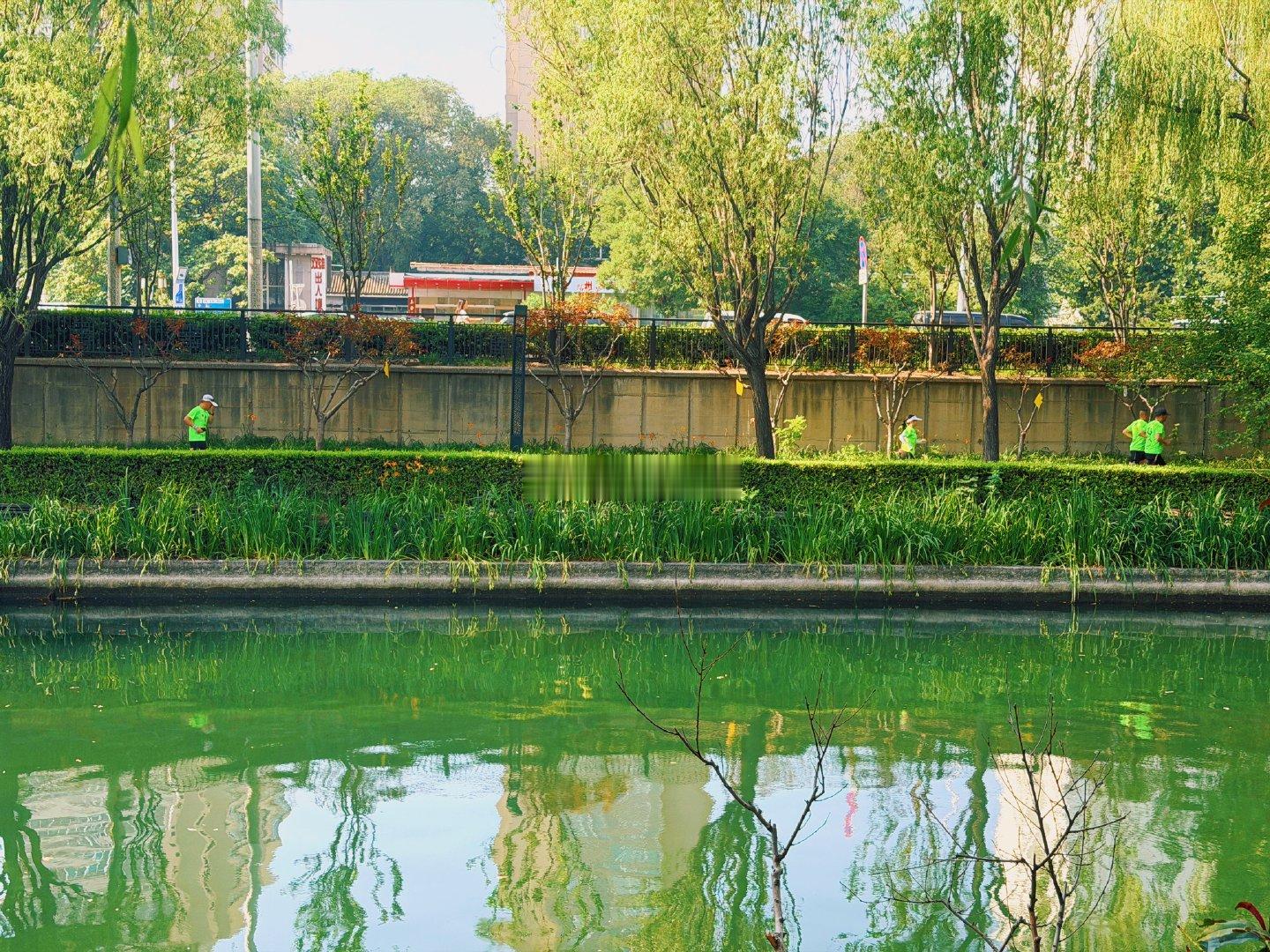 北京北二环护城河柳树成荫，绿意盎然，清凉宝地摄影