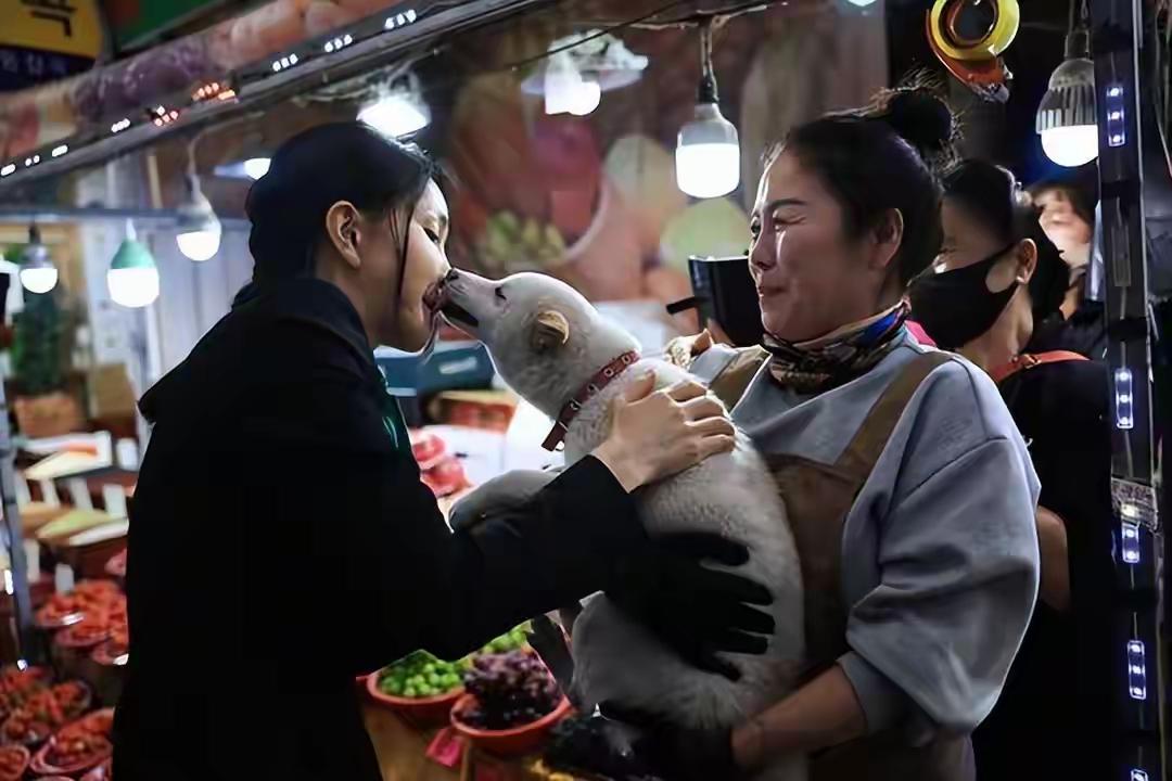 尹锡悦夫妇也太爱狗了吧！特别是金建希，她竟能接受狗亲吻她的脸，她就不怕狗突然发癫