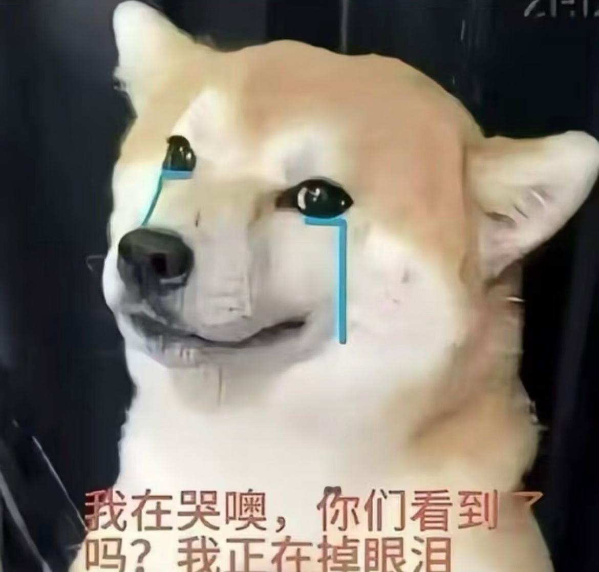 卧槽看的我好他妈痛苦。
