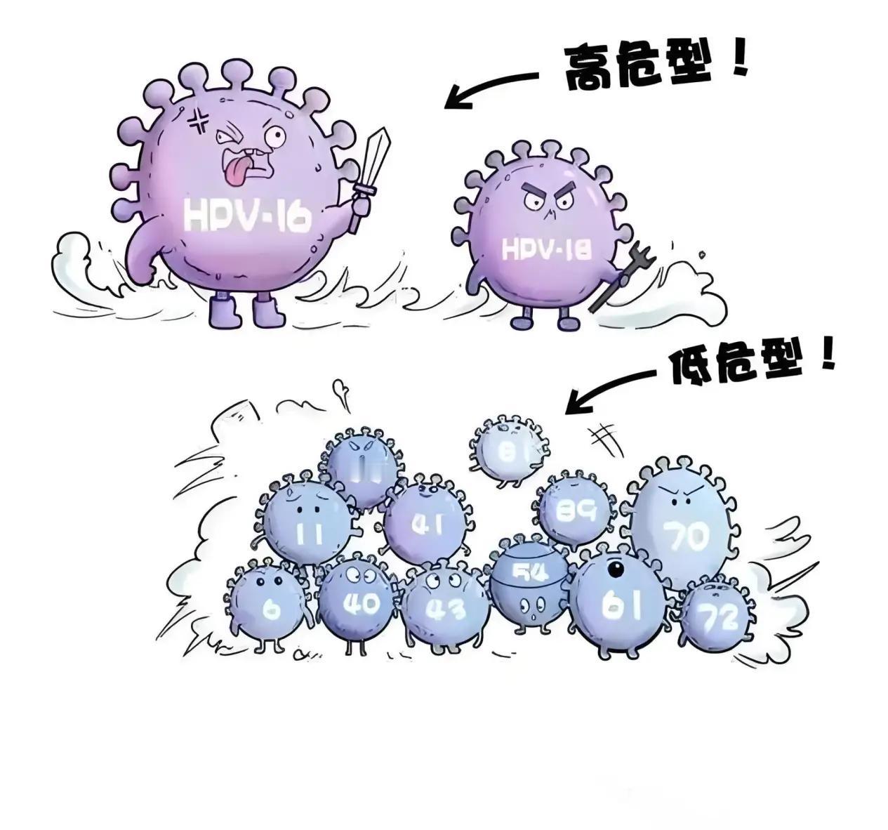 HPV感染后有这4种表现，说明HPV病毒已经“扎根”了！扫清障碍，转阴才能来得更