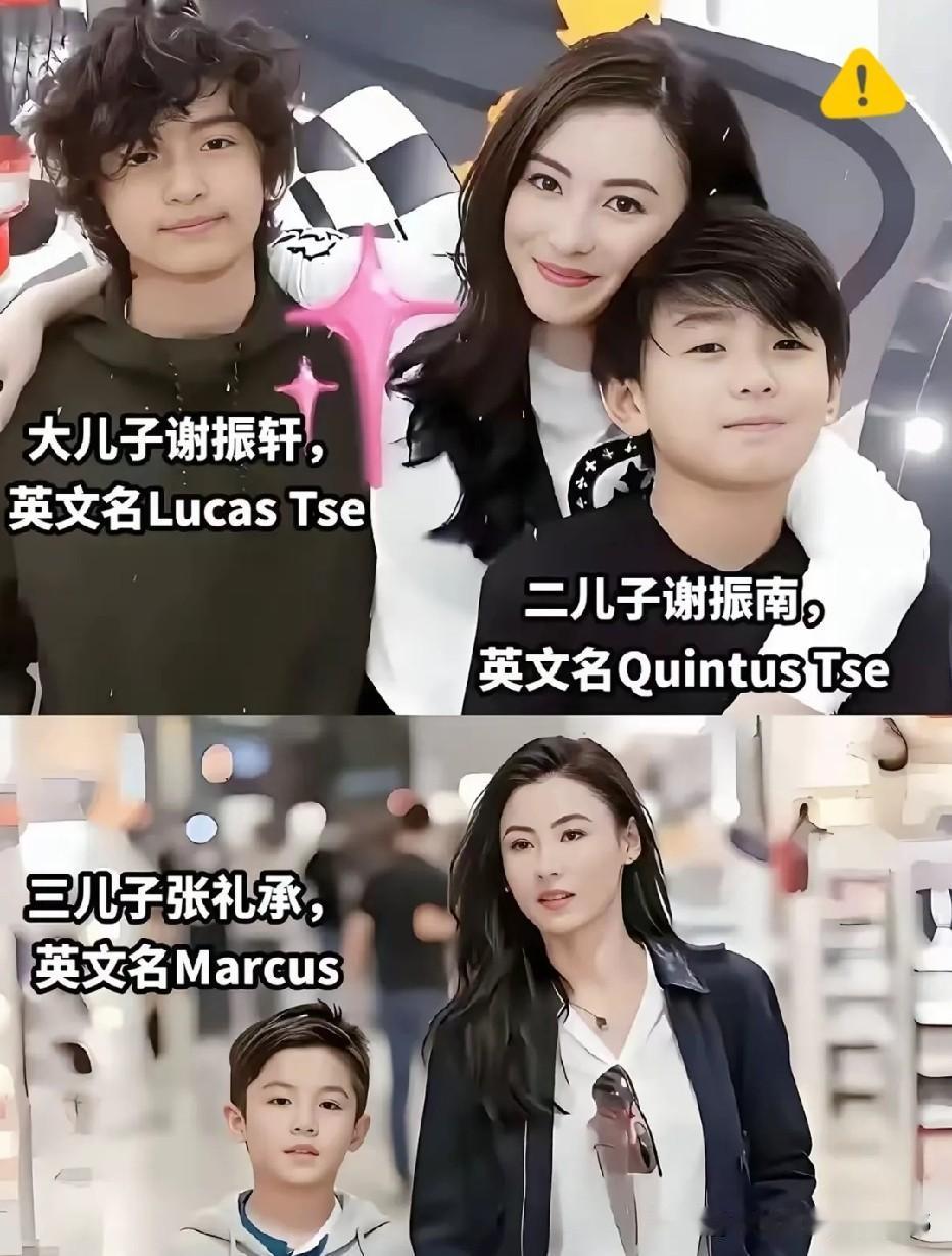 张柏芝三子Marcus生父之谜流传八年，谢霆锋、谢贤、吴奇隆乃至黄晓明、林志颖等
