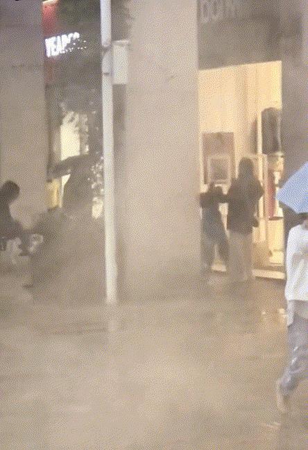 狗：我不要面子的吗？[呲牙笑]