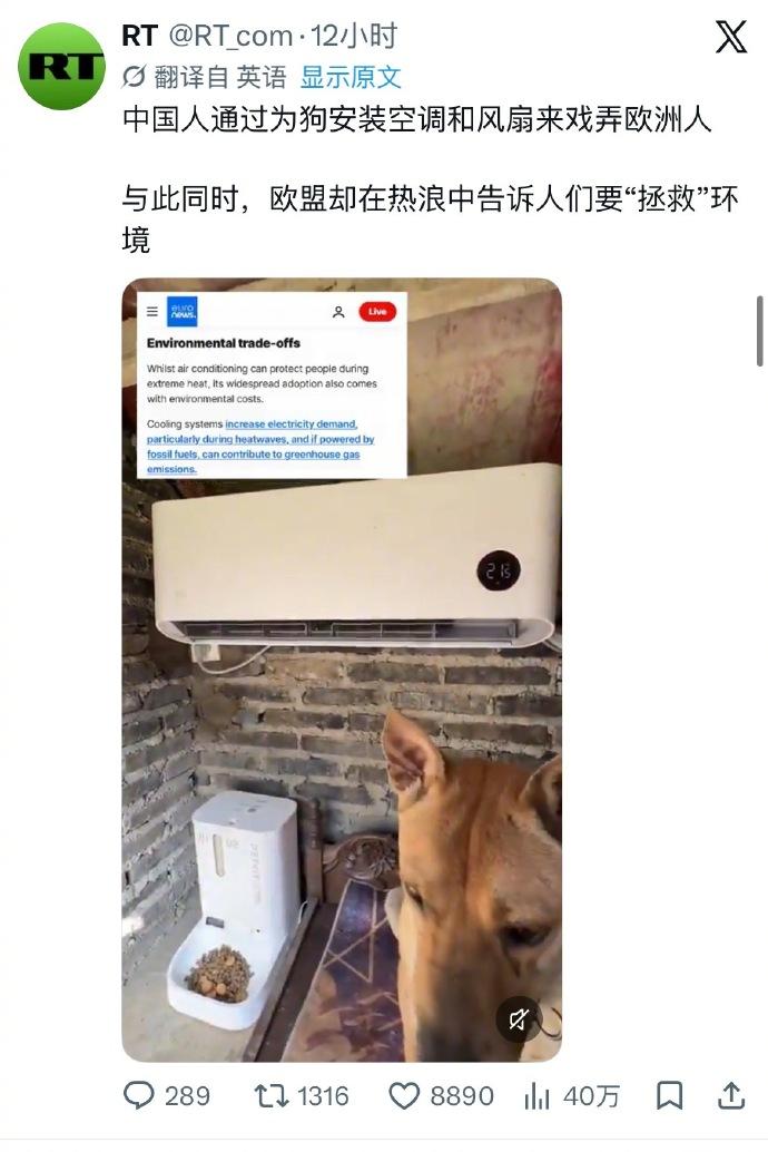 RT这就是打胡乱说了。我们中国网民给狗儿安空调，给猪儿安空调，完全不是戏耍欧洲