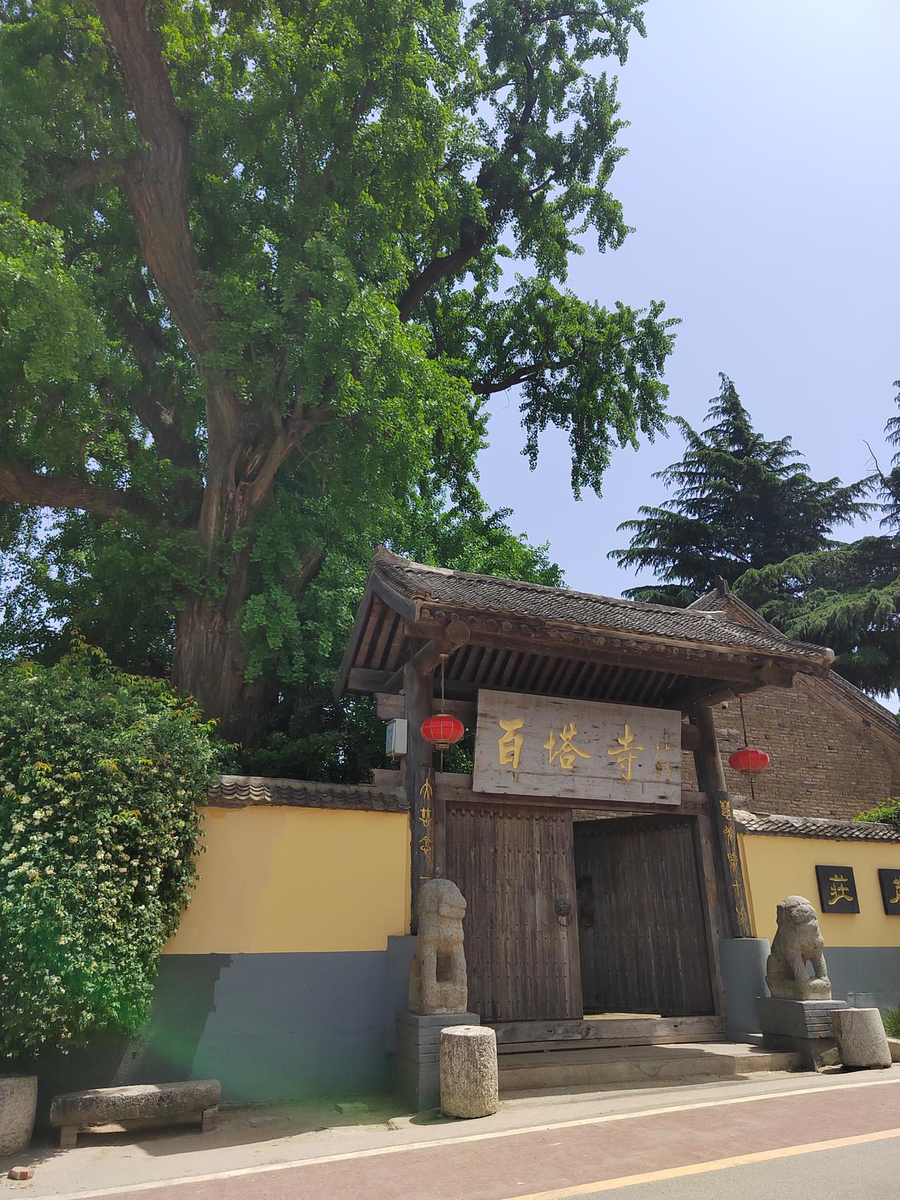 长安百塔寺及周边的风景坐公交从环山路的七一七研究所站下车，一直向南，走大约二、